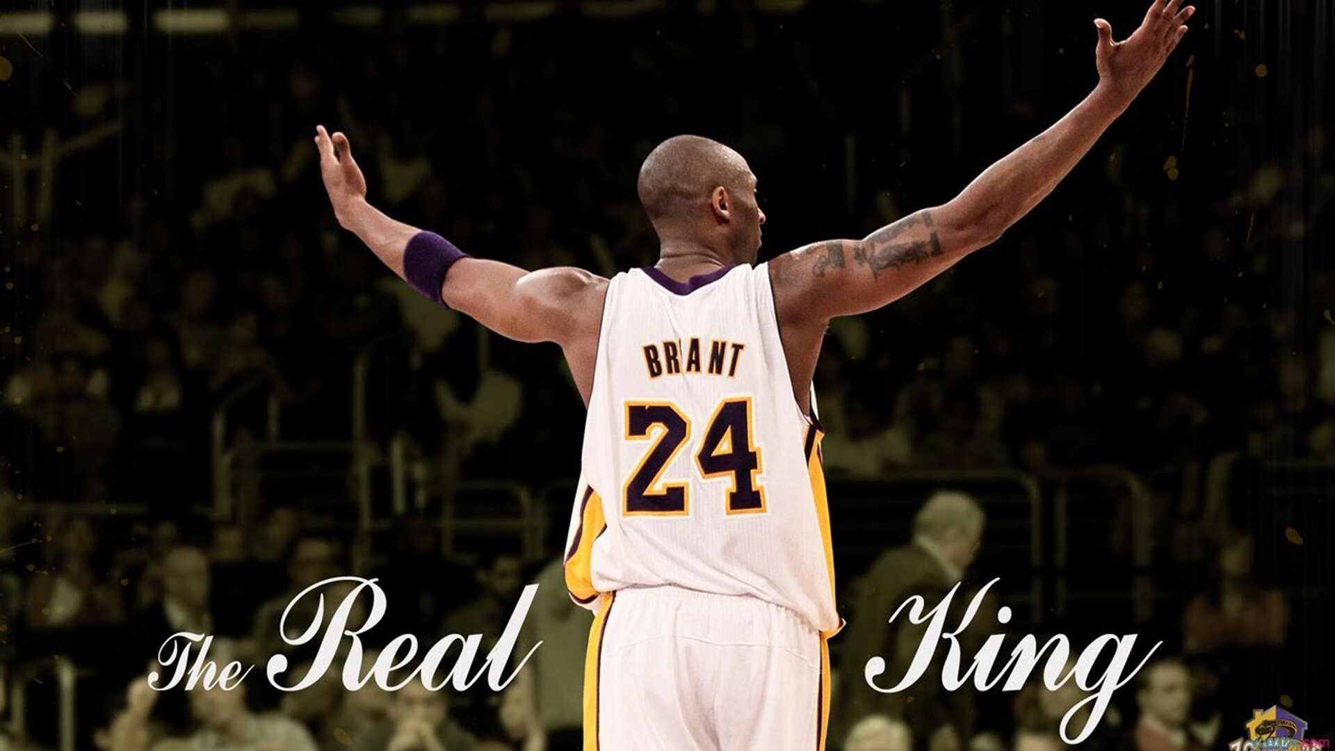 凯尔特人新援融入顺利,塔图姆状态神勇,塔图姆27分凯尔特人胜猛龙